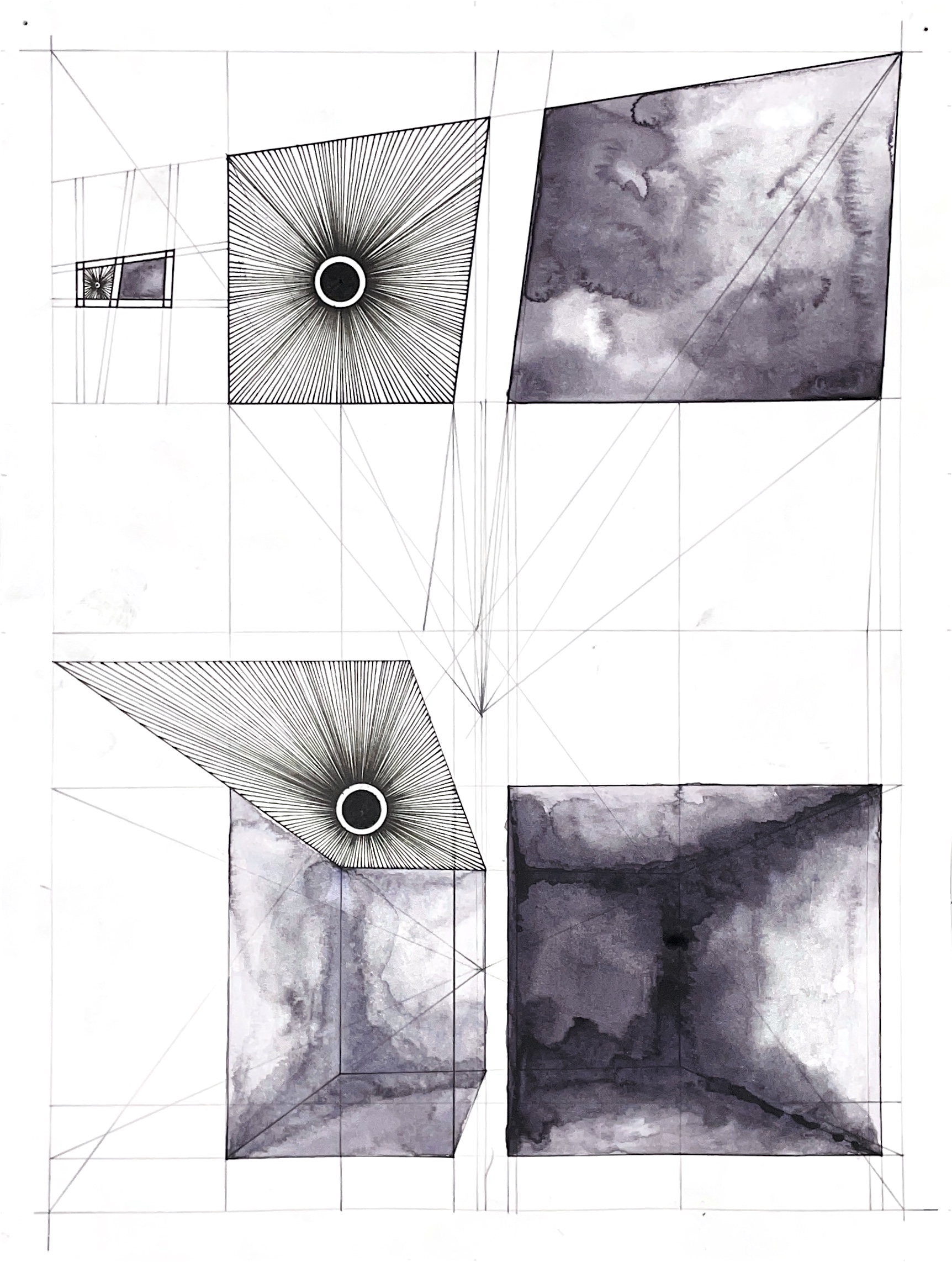cell 24